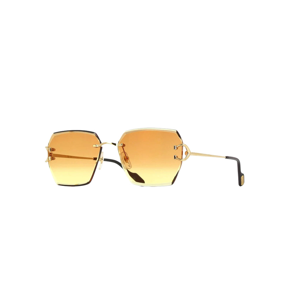 Cartier CT04665 sunglasses in silver, 45° view