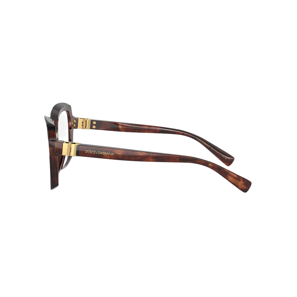 Dolce & Gabbana 3413 glasses in havana, side view