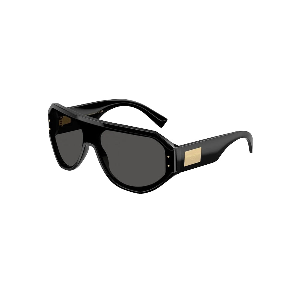 Dolce & Gabbana 4481 sunglasses in black, 45° view
