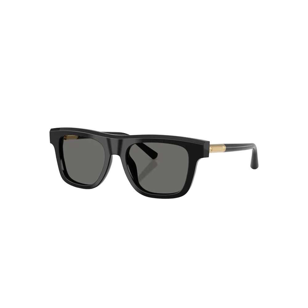 Dolce & Gabbana DG 4521 sunglasses in black