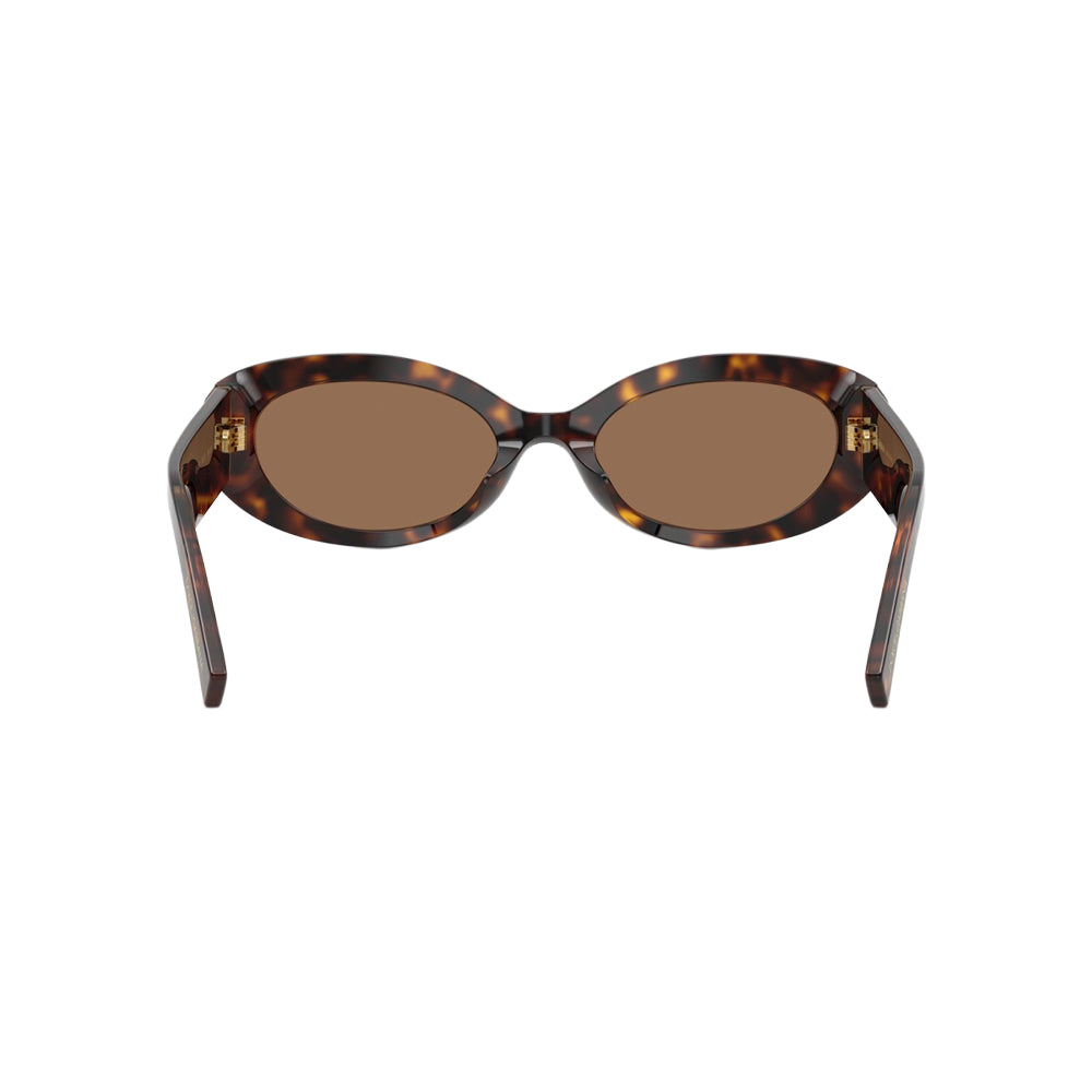 Dolce & Gabbana DG 4537 sunglasses in havana