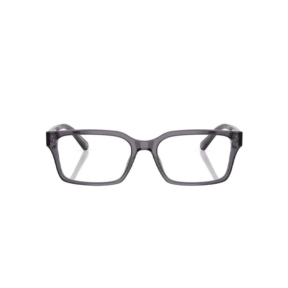 Emporio Armani 3244 glasses in grey, front view