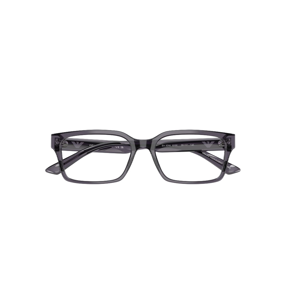 Emporio Armani 3244 glasses in grey