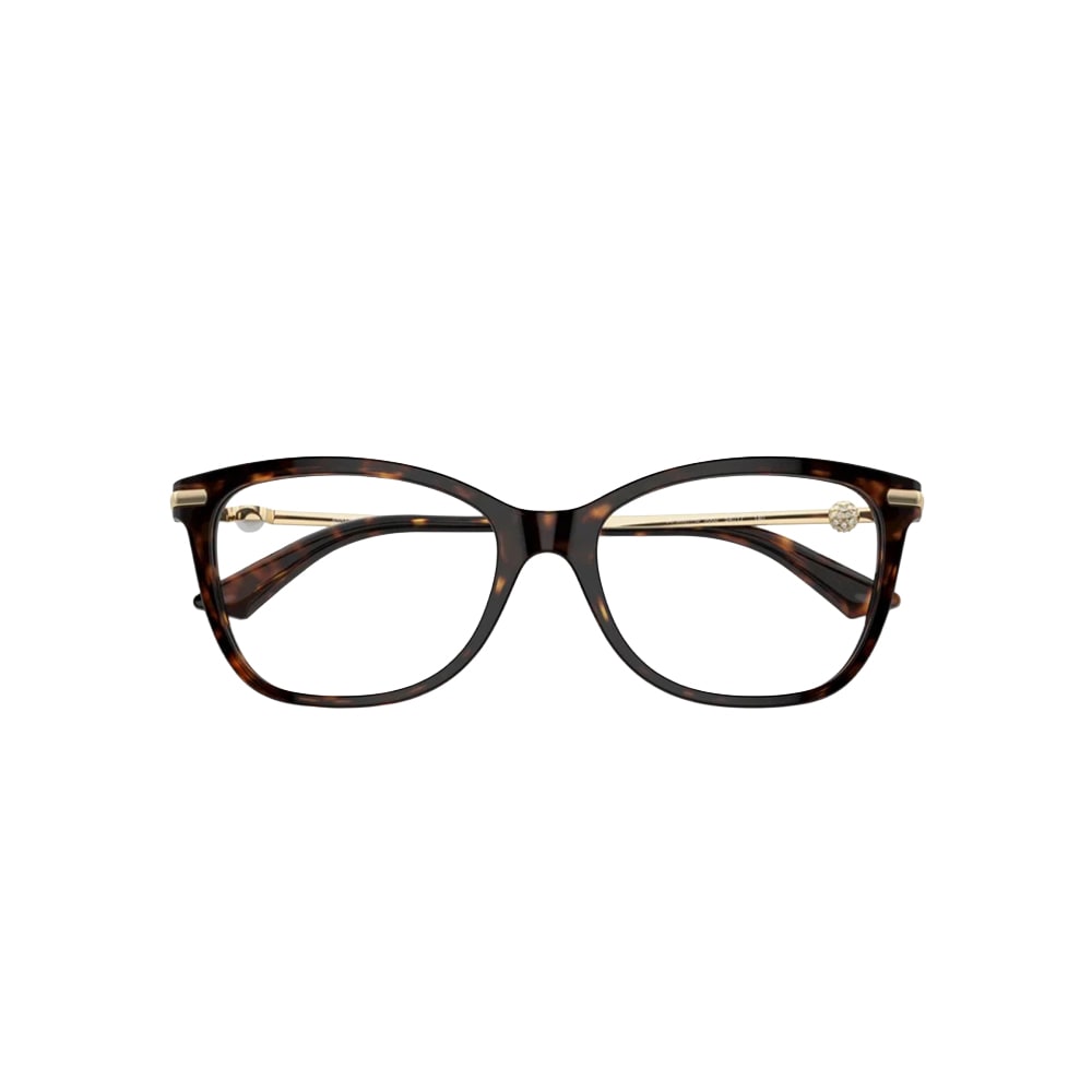 Jimmy Choo JC3007HB glasses in havana