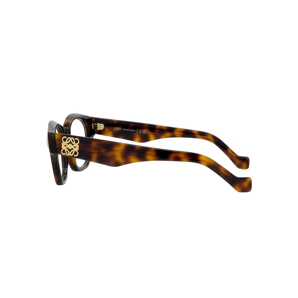 Loewe LW50096I glasses in havana, side view