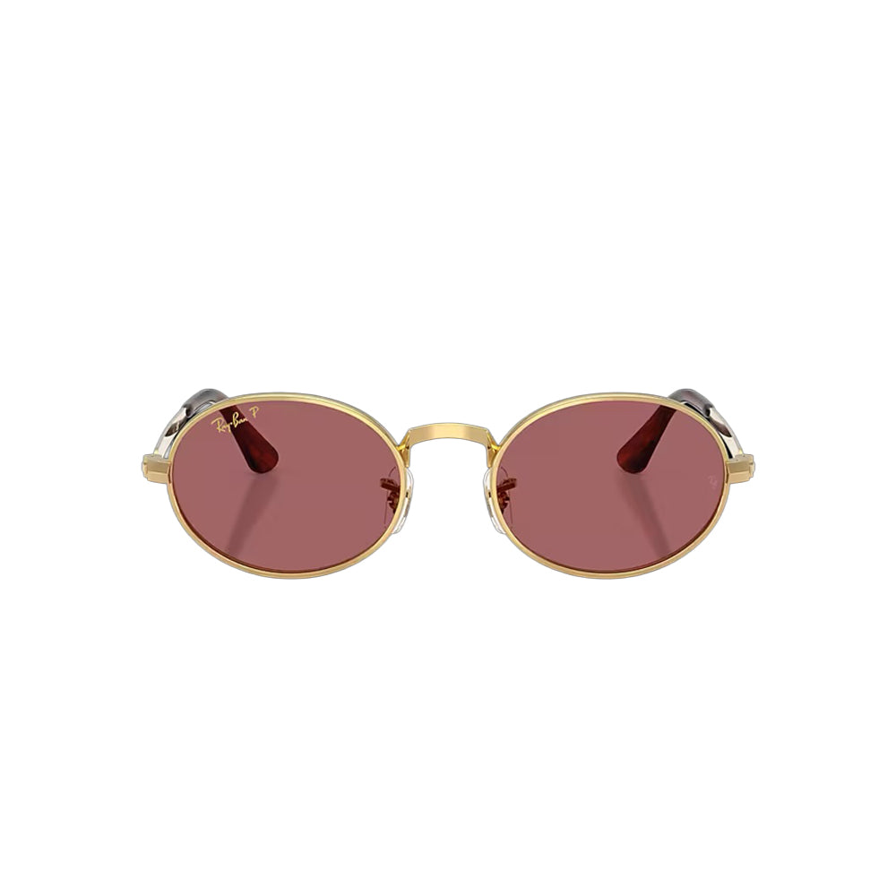 Ray-Ban RB 3931 sunglasses in 001/af, front view