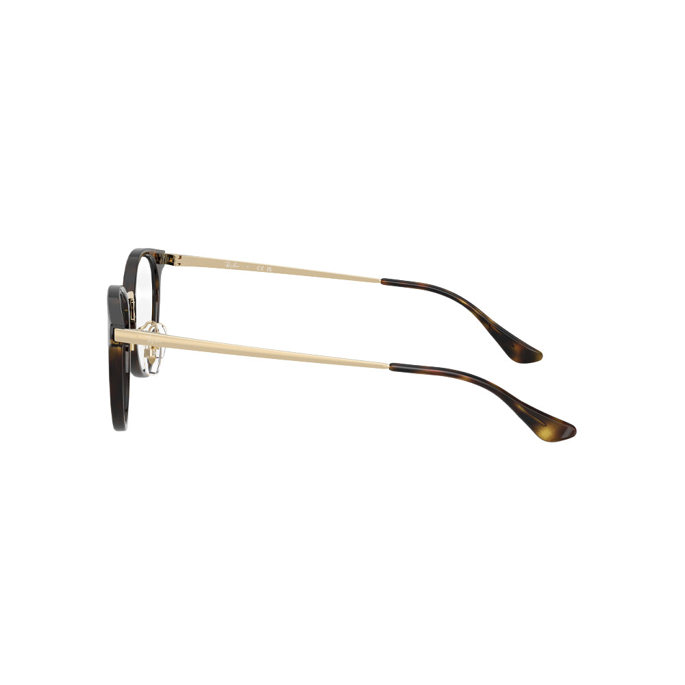 Ray-Ban RB 7266D glasses in havana, side view