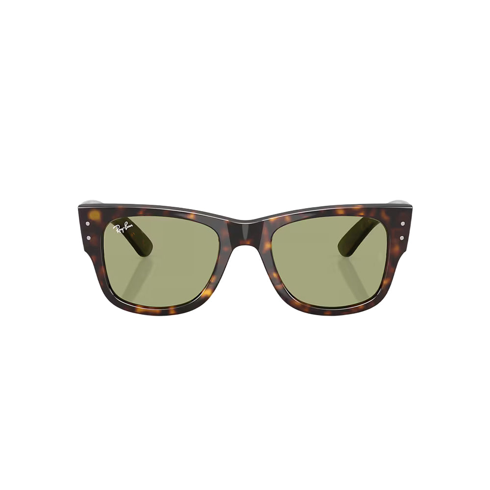Ray-Ban RB0840-S sunglasses in havana, front view