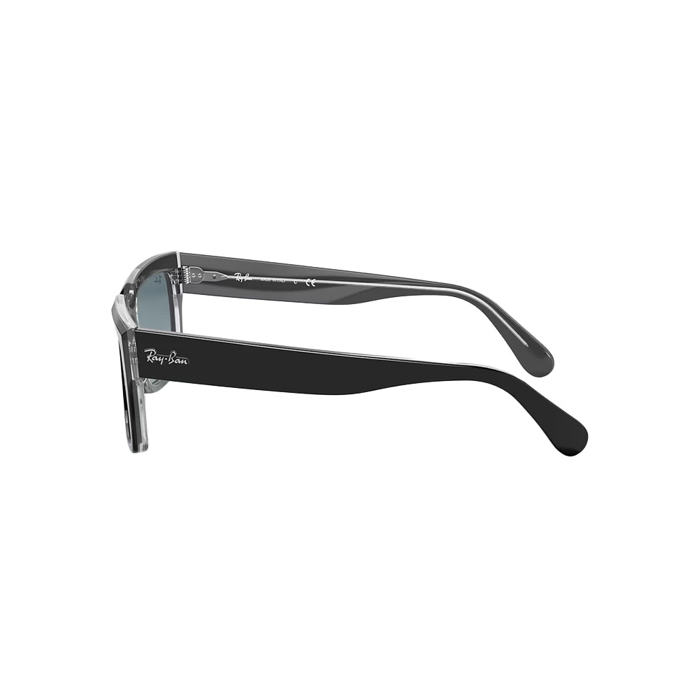 Ray-Ban RB2191 sunglasses in black, side view