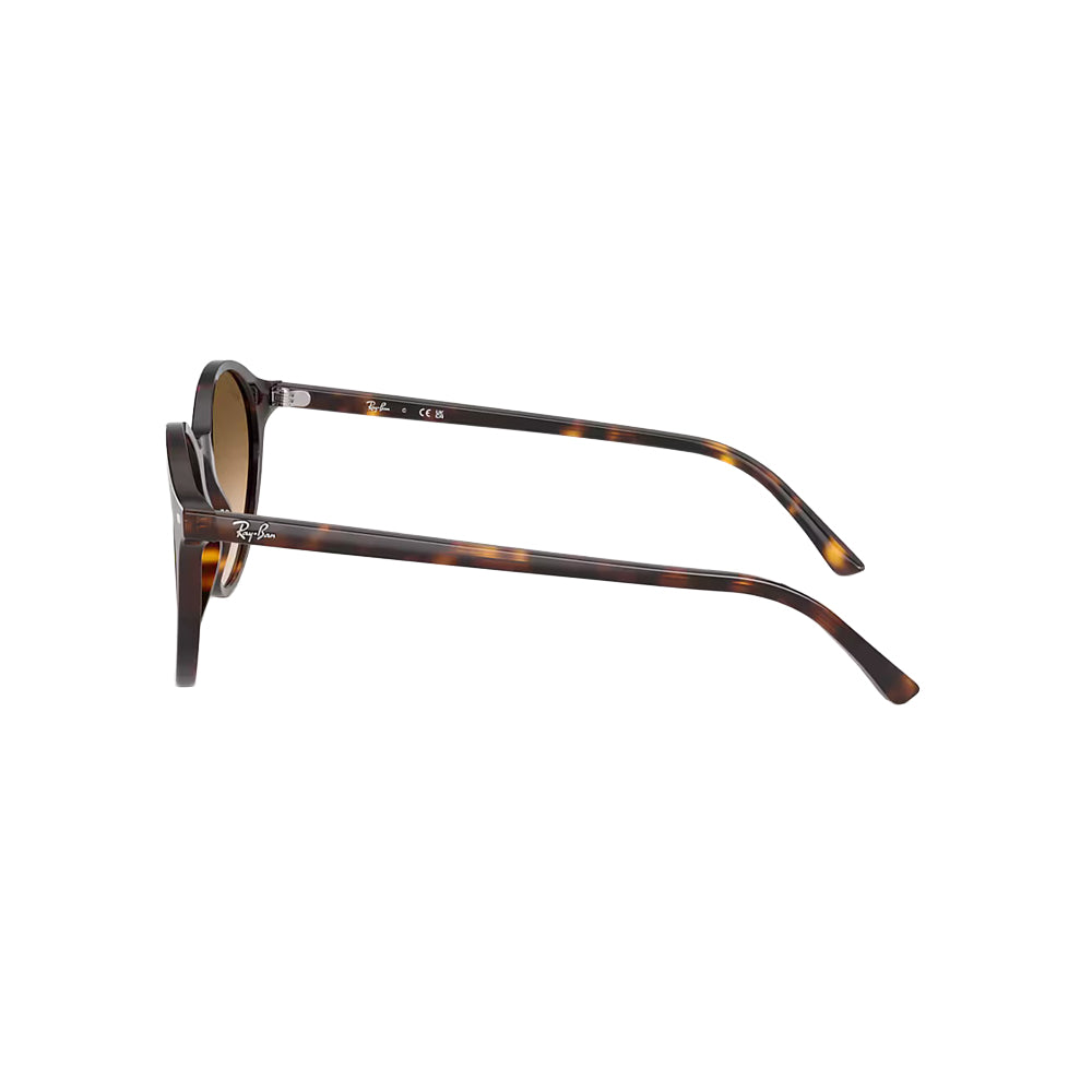 Ray-Ban RB2230 sunglasses in havana, side view