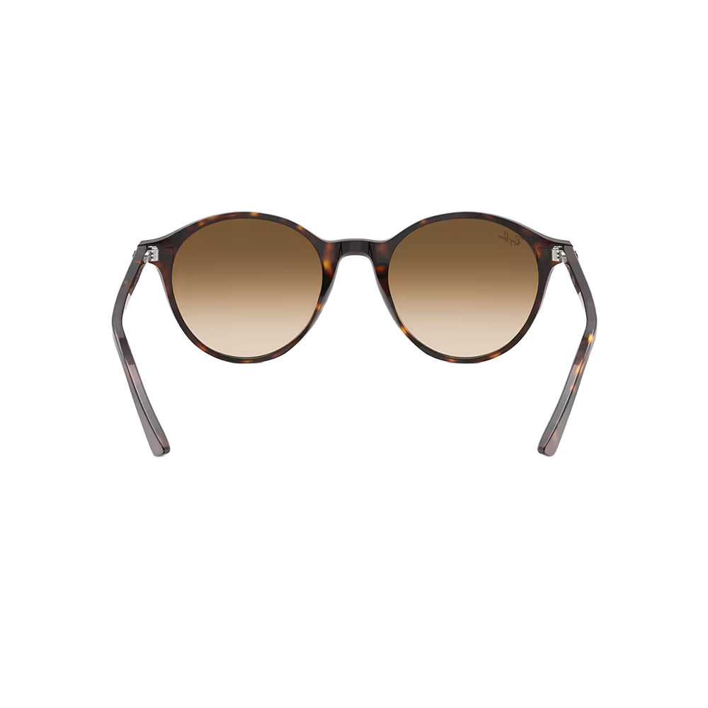 Ray-Ban RB2230 sunglasses in havana