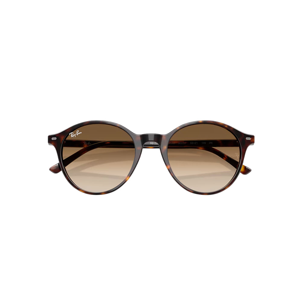 Ray-Ban RB2230 sunglasses in havana