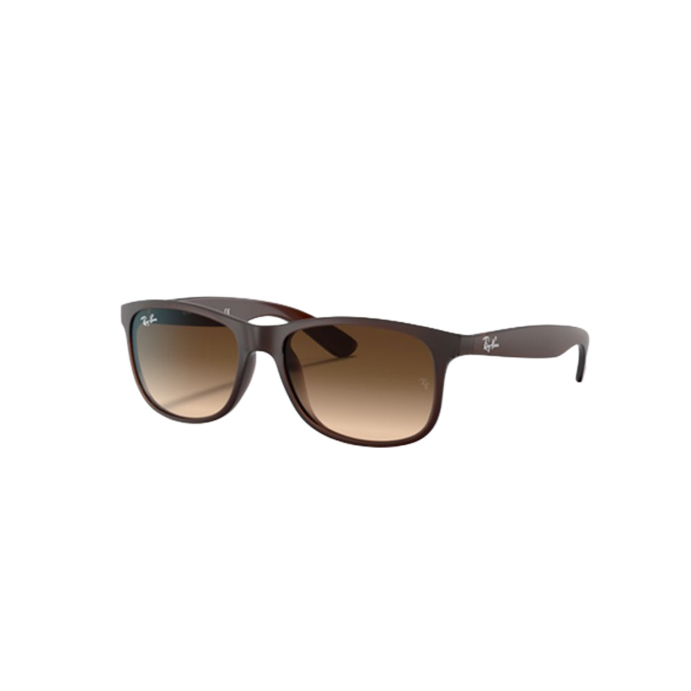 Ray-Ban RB4202 sunglasses in brown, 45° view