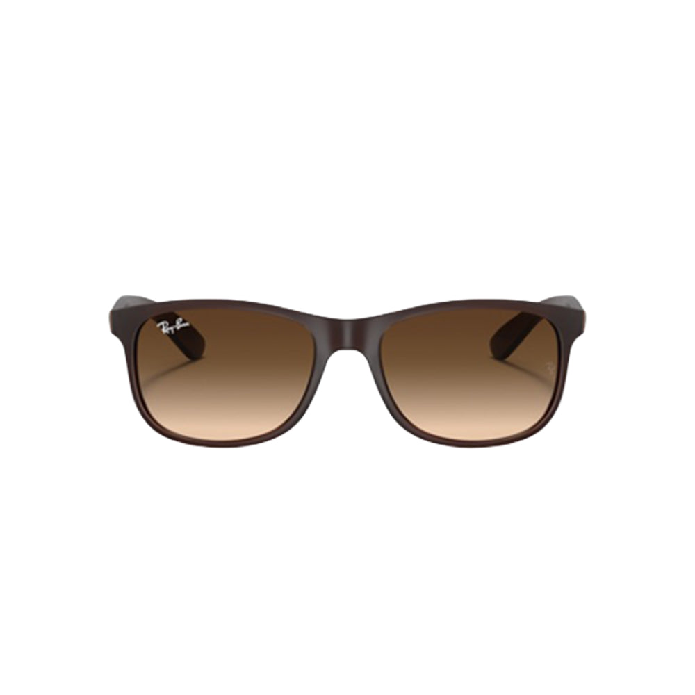Ray-Ban RB4202 sunglasses in brown, front view