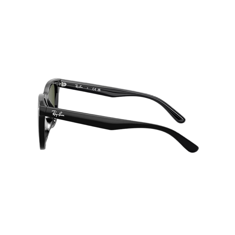 Ray-Ban RB4420 sunglasses in black, side view