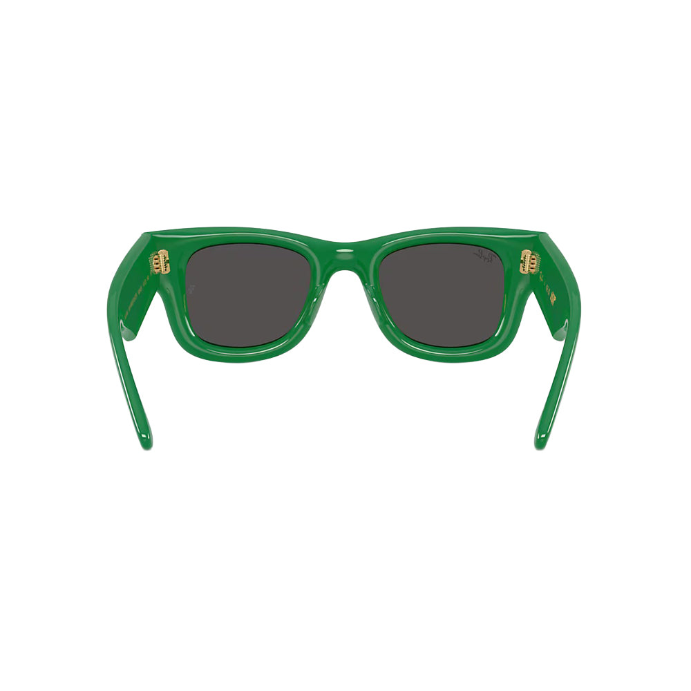 Ray-Ban RB4940 sunglasses in green