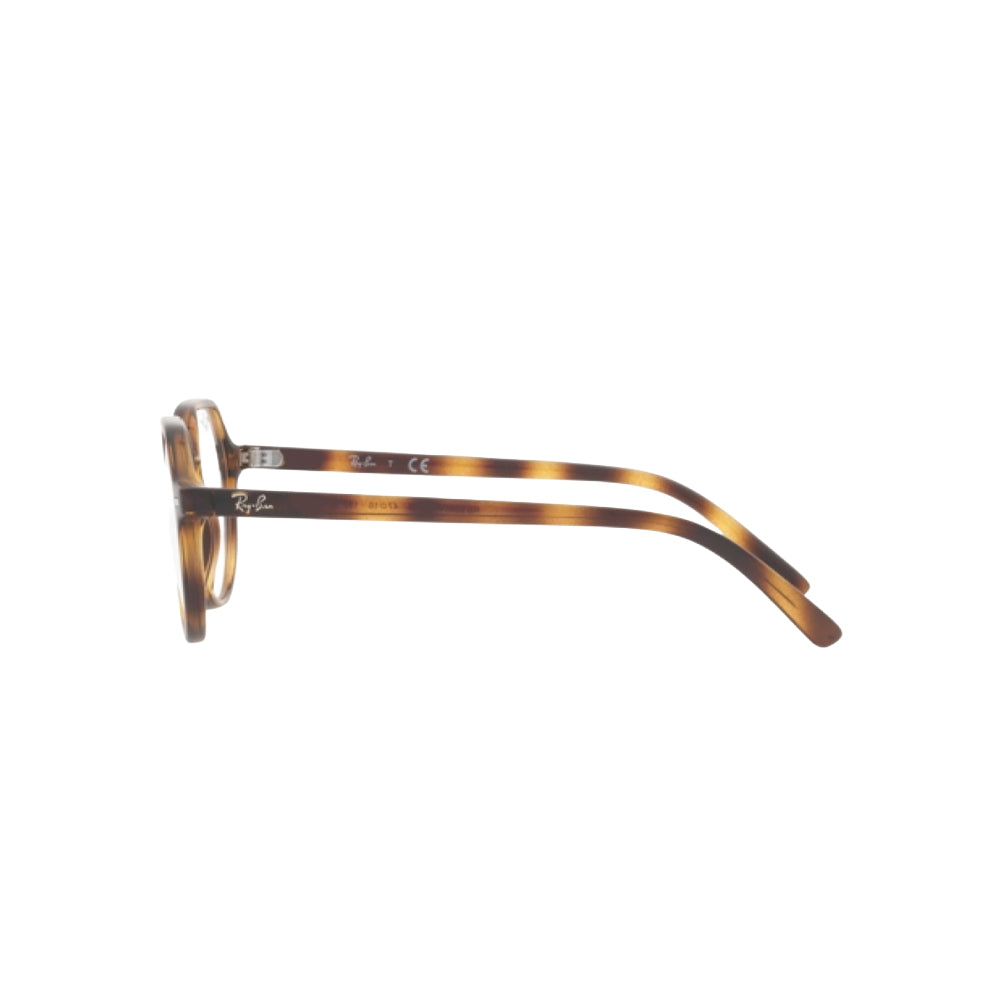 Ray-Ban RY9095V glasses in havana, side view