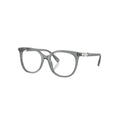 Swarovski SK2055 glasses in grey, 45° view