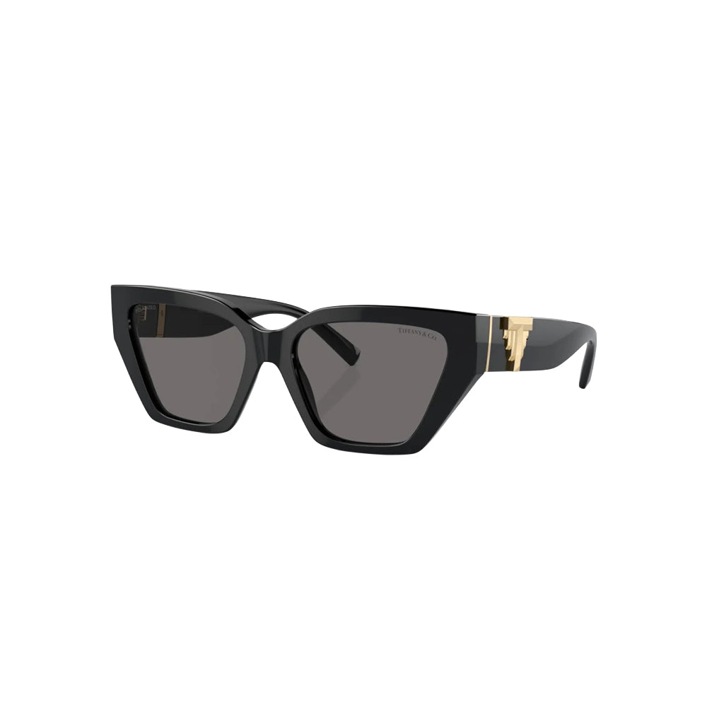 Tiffany & Co. TF 4218 sunglasses in black, 45° view