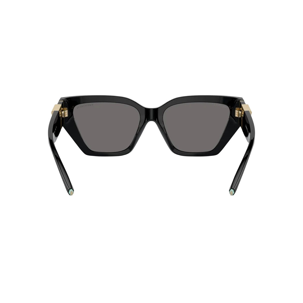 Tiffany & Co. TF 4218 sunglasses in black
