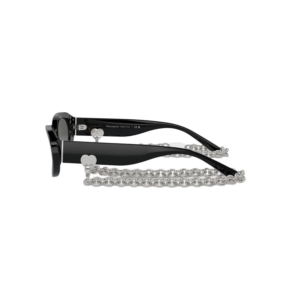 Tiffany & Co. TF 4221 sunglasses in black, side view