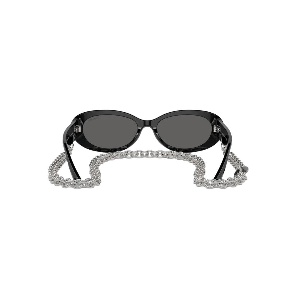 Tiffany & Co. TF 4221 sunglasses in black