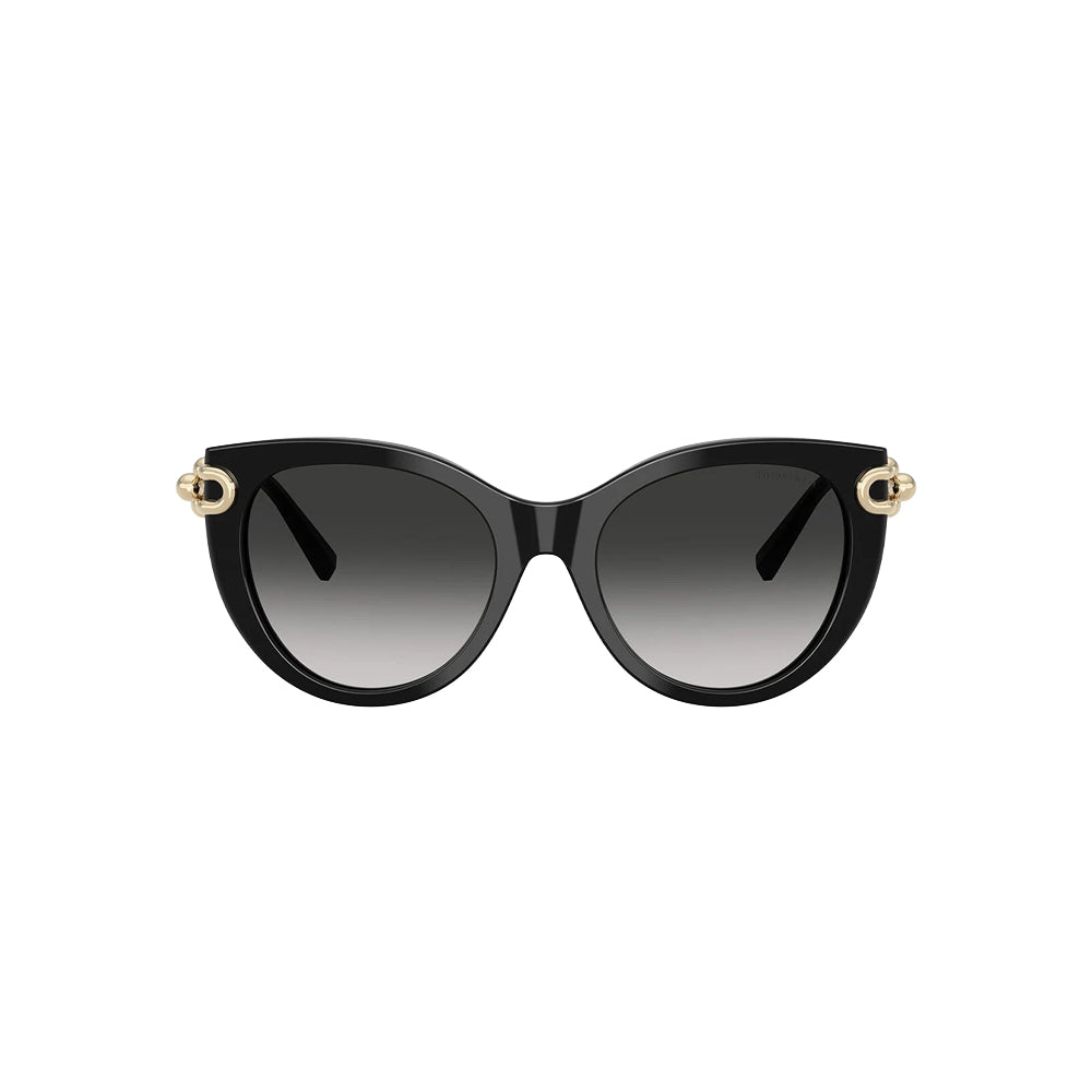 Tiffany & Co. TF 4232 sunglasses in black, front view