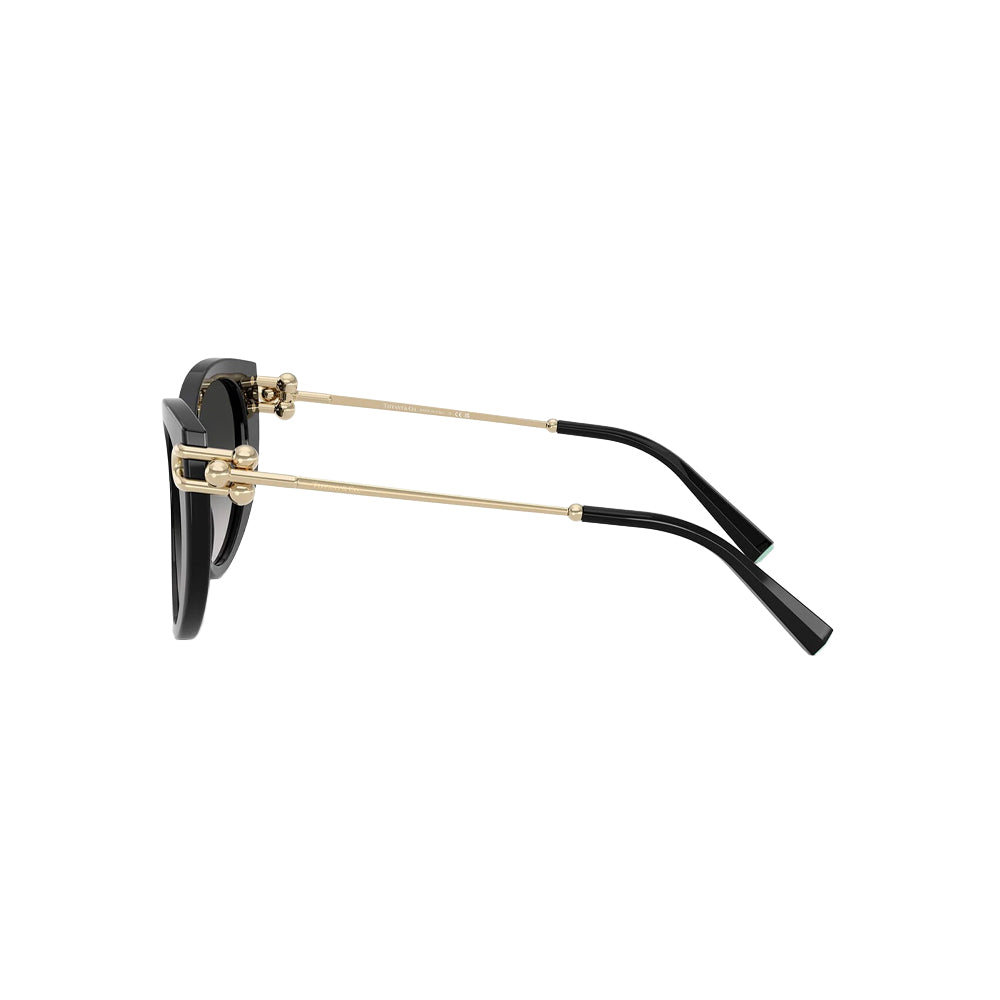 Tiffany & Co. TF 4232 sunglasses in black, side view