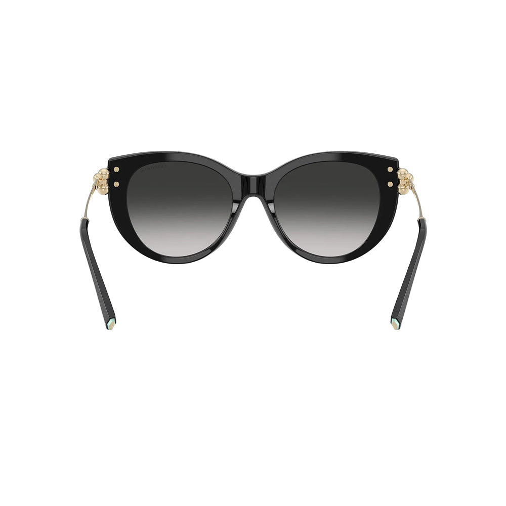 Tiffany & Co. TF 4232 sunglasses in black