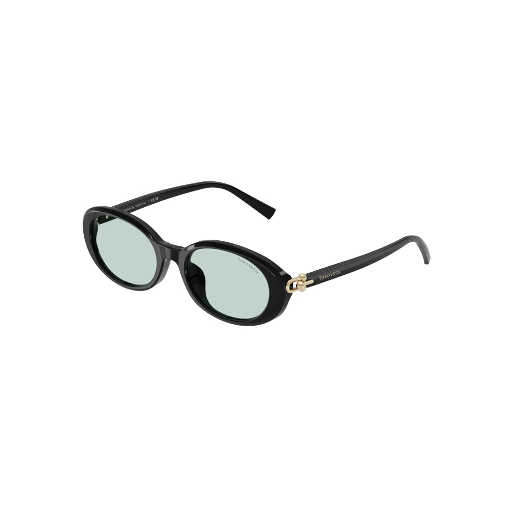 Tiffany & Co. TF 4242-D sunglasses in black, 45° view