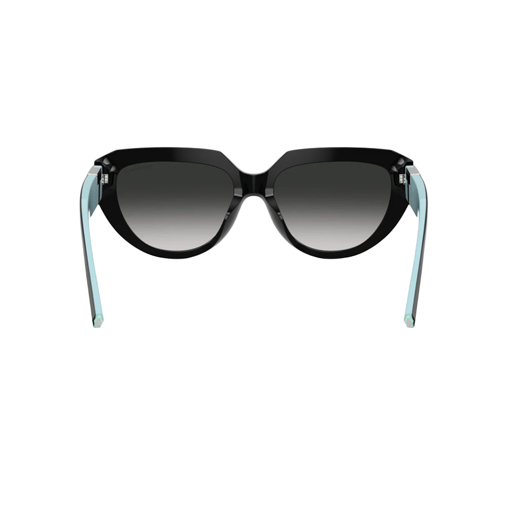 Tiffany & Co. TF4238-U sunglasses in havana, front view