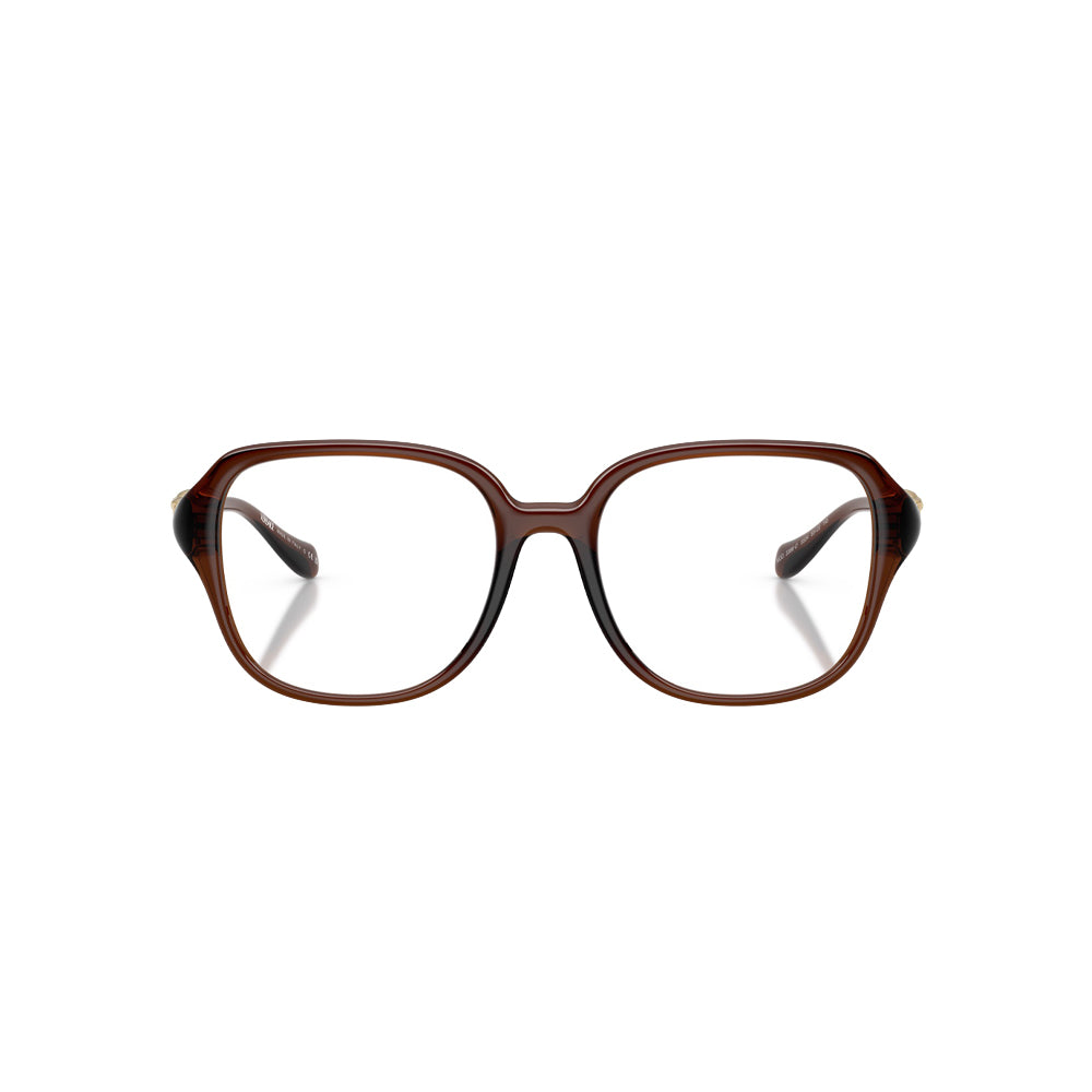 Versace 3386-D glasses in brown, front view
