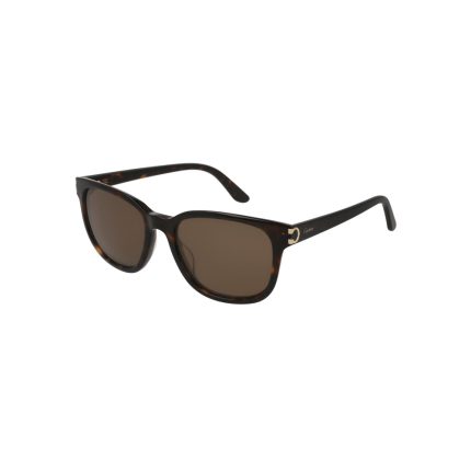 CARTIER CT0118S 002