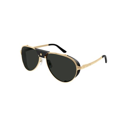 CARTIER CT0296S 001