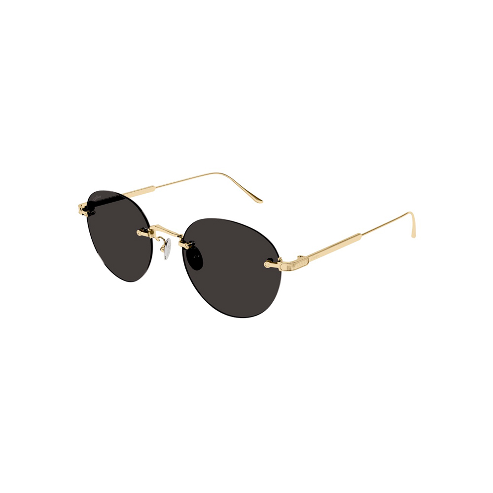 cartier-sunglass-man-titanium-ct0393s-002_x9nkv2.jpg