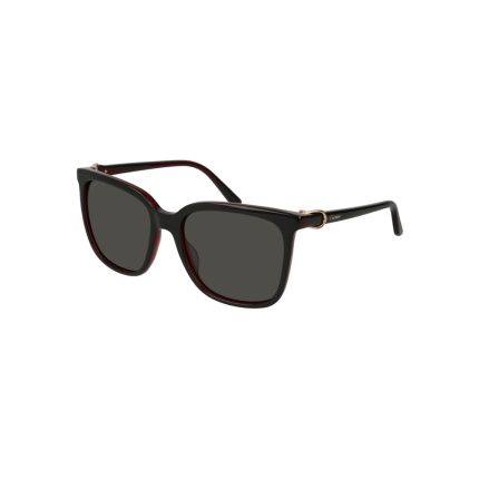 CARTIER CT0004S 005