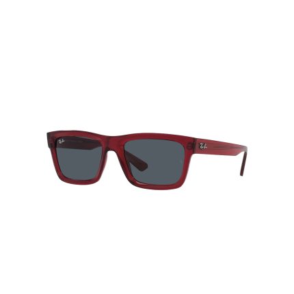 Ray-Ban RB4396 WARREN 6679/87