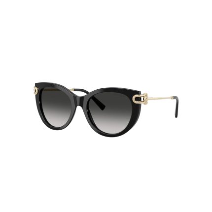 Tiffany&Co TF 4232 8001/3C