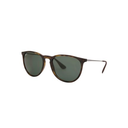 Ray-Ban RB4171 ERIKA 710/71