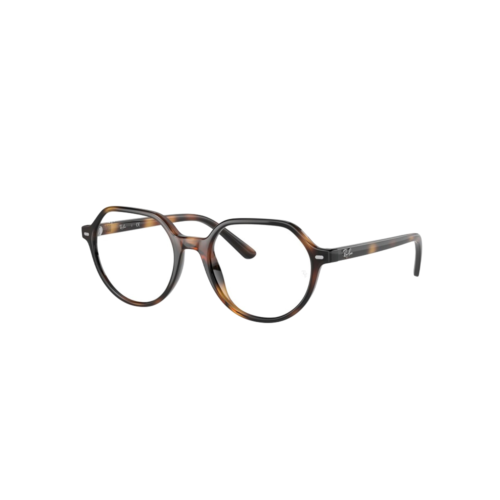 ray-ban-junior-ry-9095v-3685-havana-8056597666046-1600x1600w_afclw9.jpg